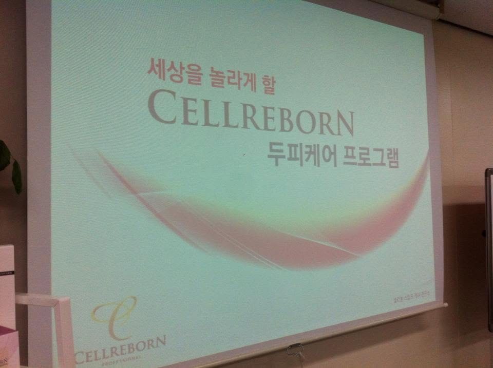 Slide di presentazione al primo seminario partner CELLREBORN, 2013